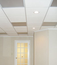 Basement Ceiling Tiles for a project we worked on in Haverhill, Massachusetts and New Hampshire