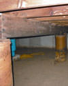 Mold and rot thriving in a dirt floor crawl space in Manchester