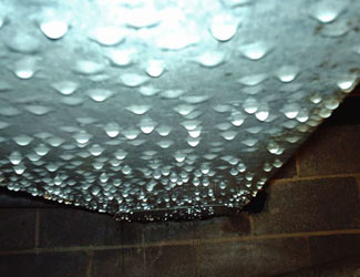 Condensation In A Humid Crawl Space a flooded basement floor in a Waltham home