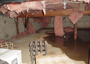 Fiberglass dripping off of the ceilings of a Nashua crawl space