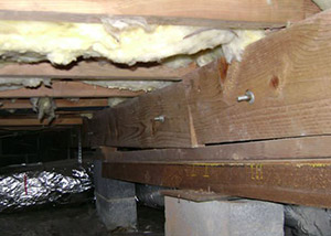 A sagging crawl space with concrete supports and wooden shimming a Peabody crawl space