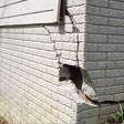 foundation walls cracked due to settlement in Manchester