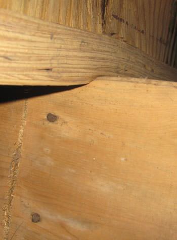 severe damage to a crawl space structure in a Malden home